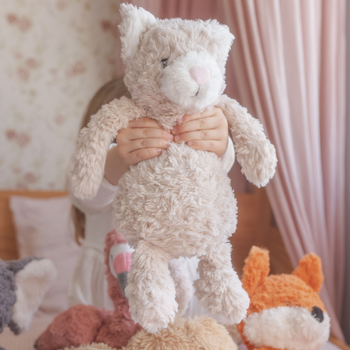 Pickles The Weighted Cat