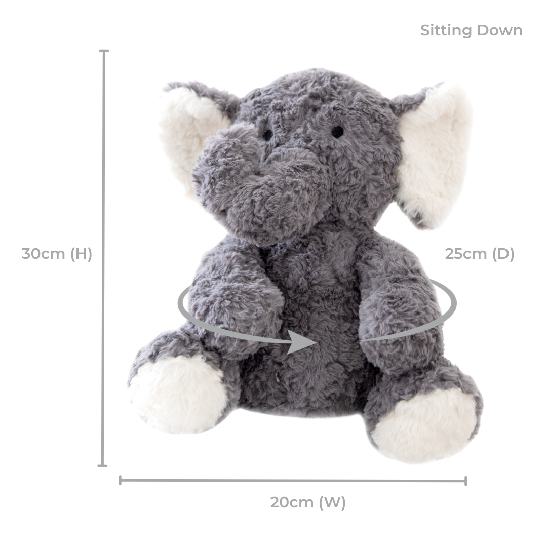 Eleanor The Weighted Elephant