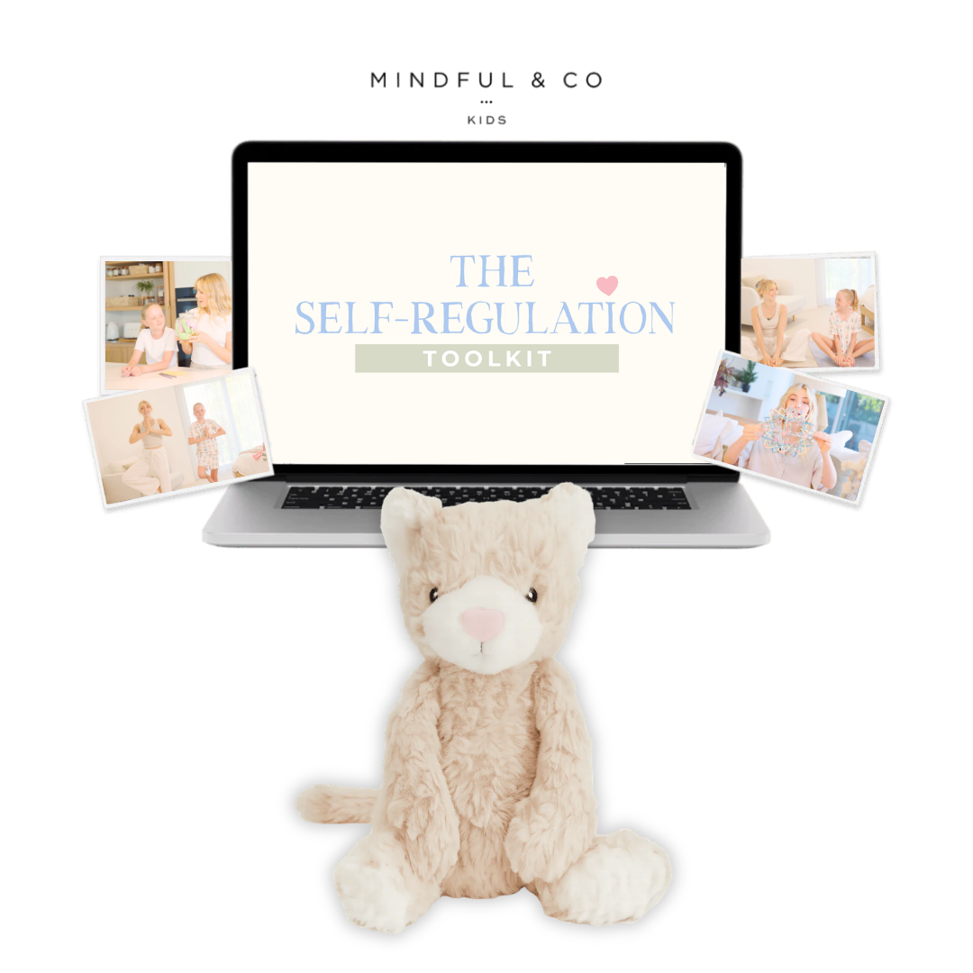 Weighted Buddy + Self-Regulation Toolkit
