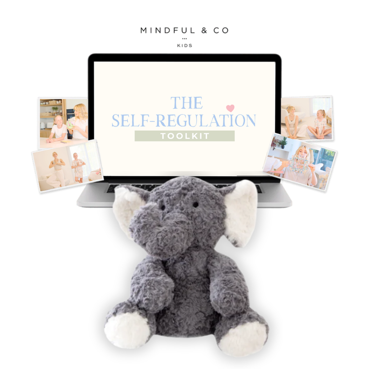 Weighted Buddy + Self-Regulation Toolkit