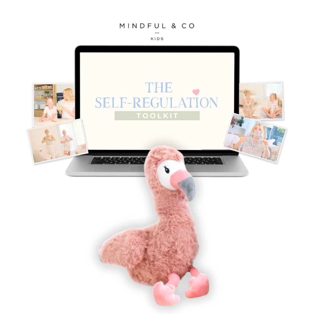 Weighted Buddy + Self-Regulation Toolkit