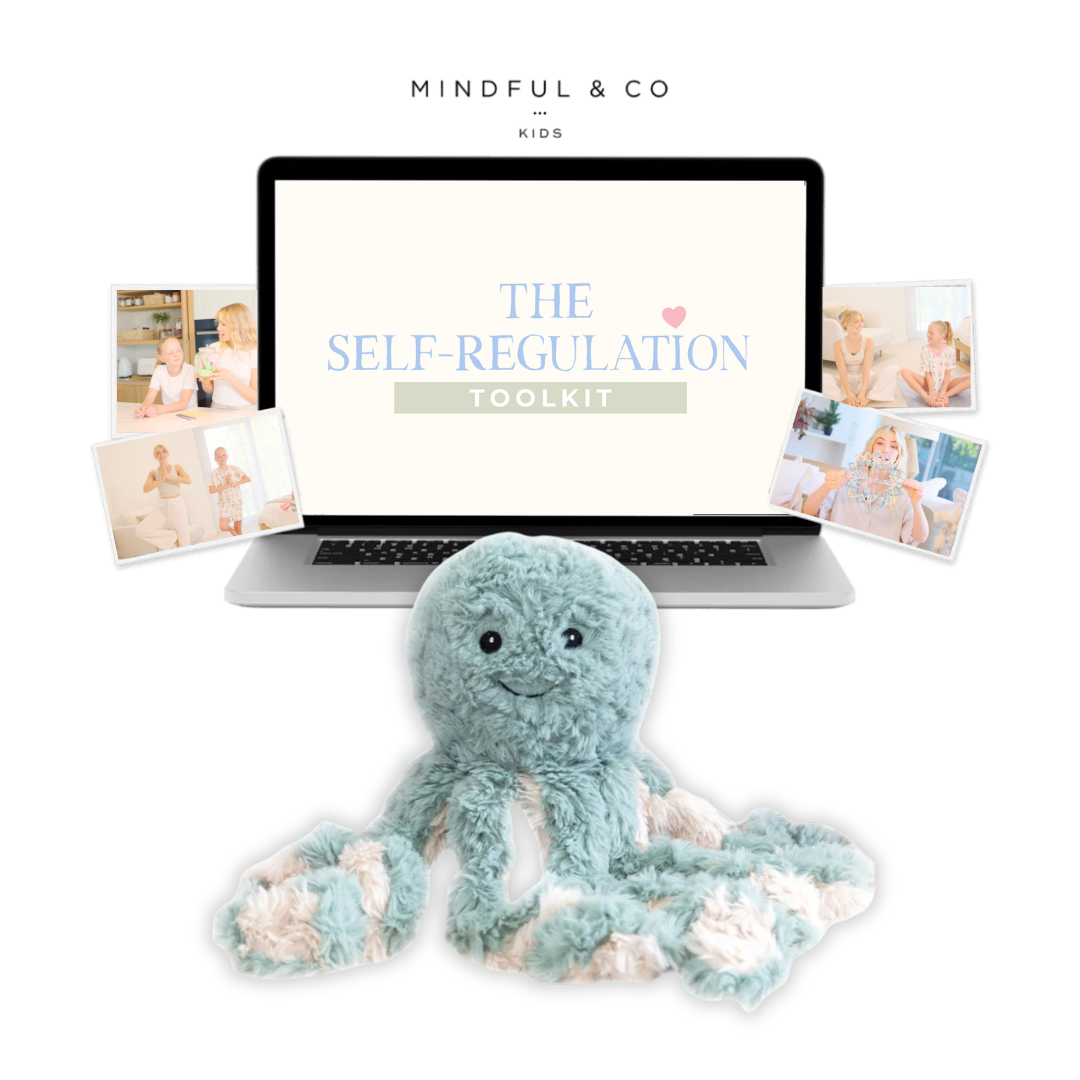 Weighted Buddy + Self-Regulation Toolkit