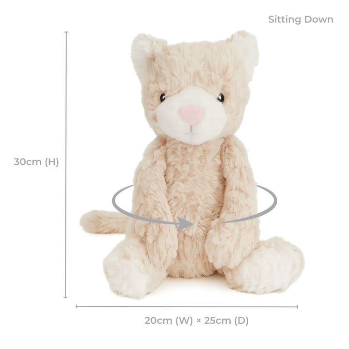 Pickles The Weighted Cat