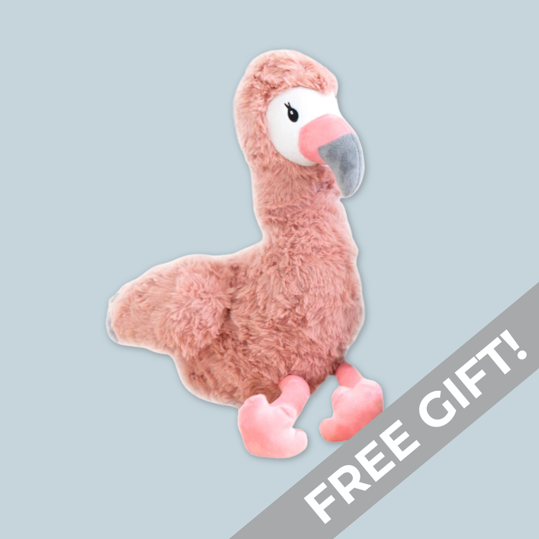 Free Gift - Flamingo Soft Toy