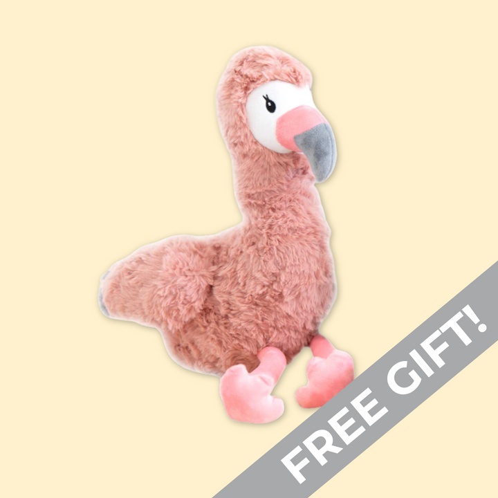 Free Gift - Flamingo Soft Toy