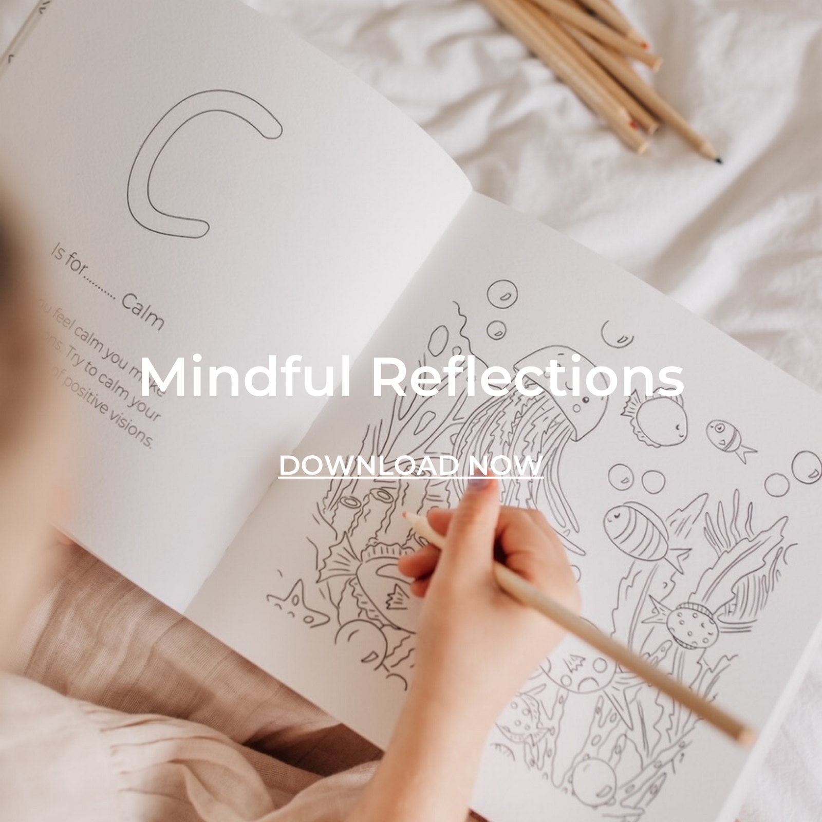 Mindful Reflection